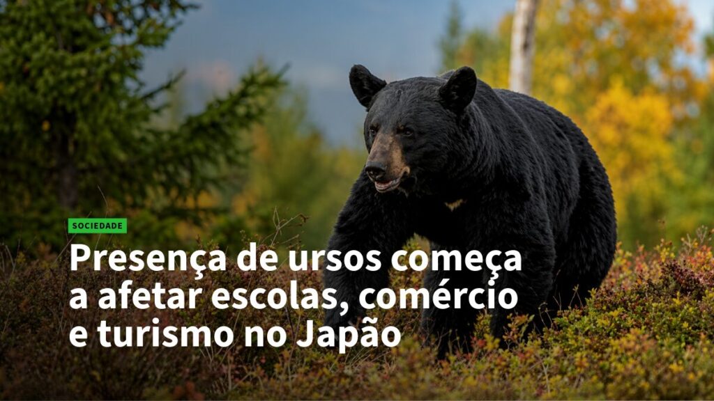 Urso preto em floresta de outono; manchete: 'Presença de ursos começa a afetar escolas, comércio e turismo no Japão' (Sociedade).