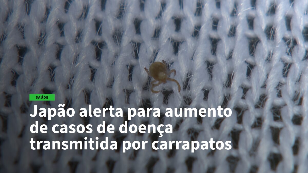Close-up of a small tick on white fabric with a bold Portuguese health news headline about rising tick-borne disease cases in Japan.