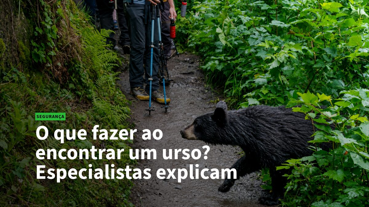 Hikers on a muddy forest trail stop as a black bear appears on the path ahead.