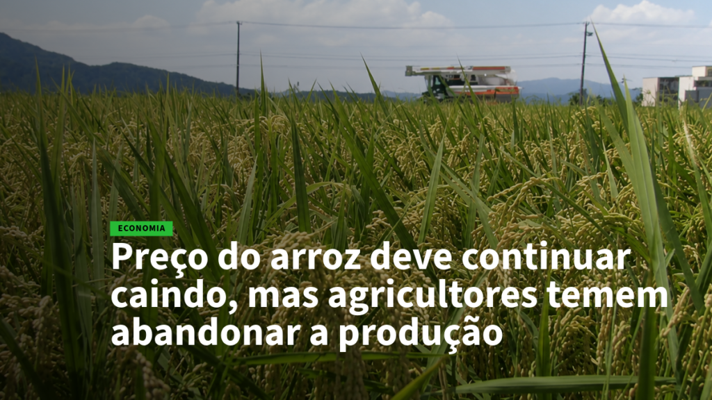 Campo de arroz com máquina ao fundo; manchete de economia sobre a queda dos preços do arroz e o temor dos agricultores.
