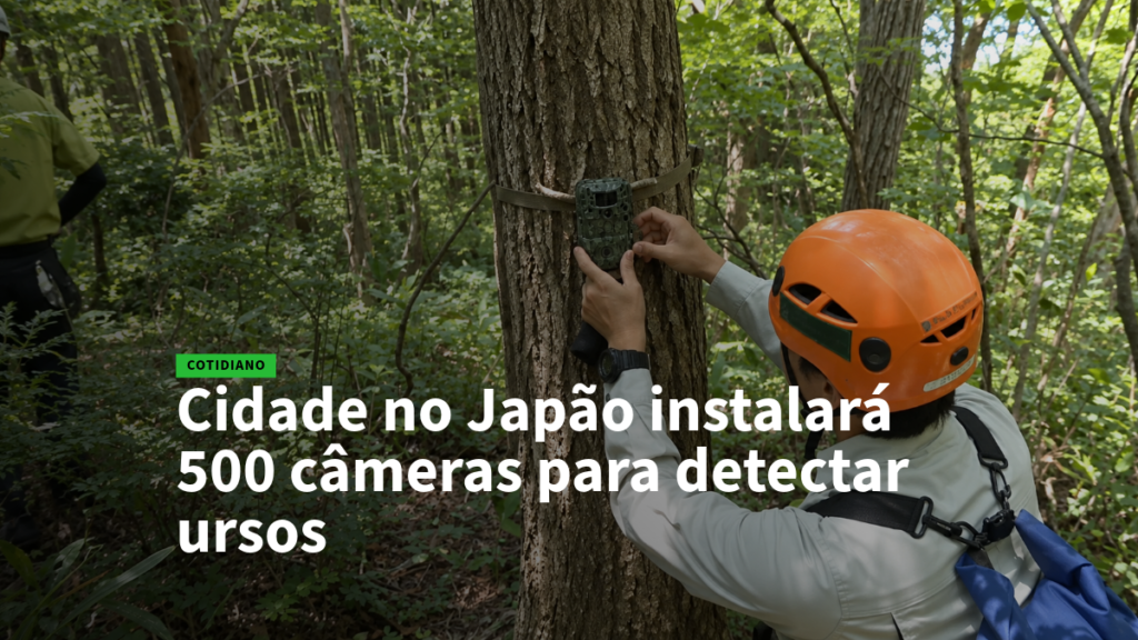 Worker in an orange helmet installs a trail camera on a tree in a dense forest to detect bears.