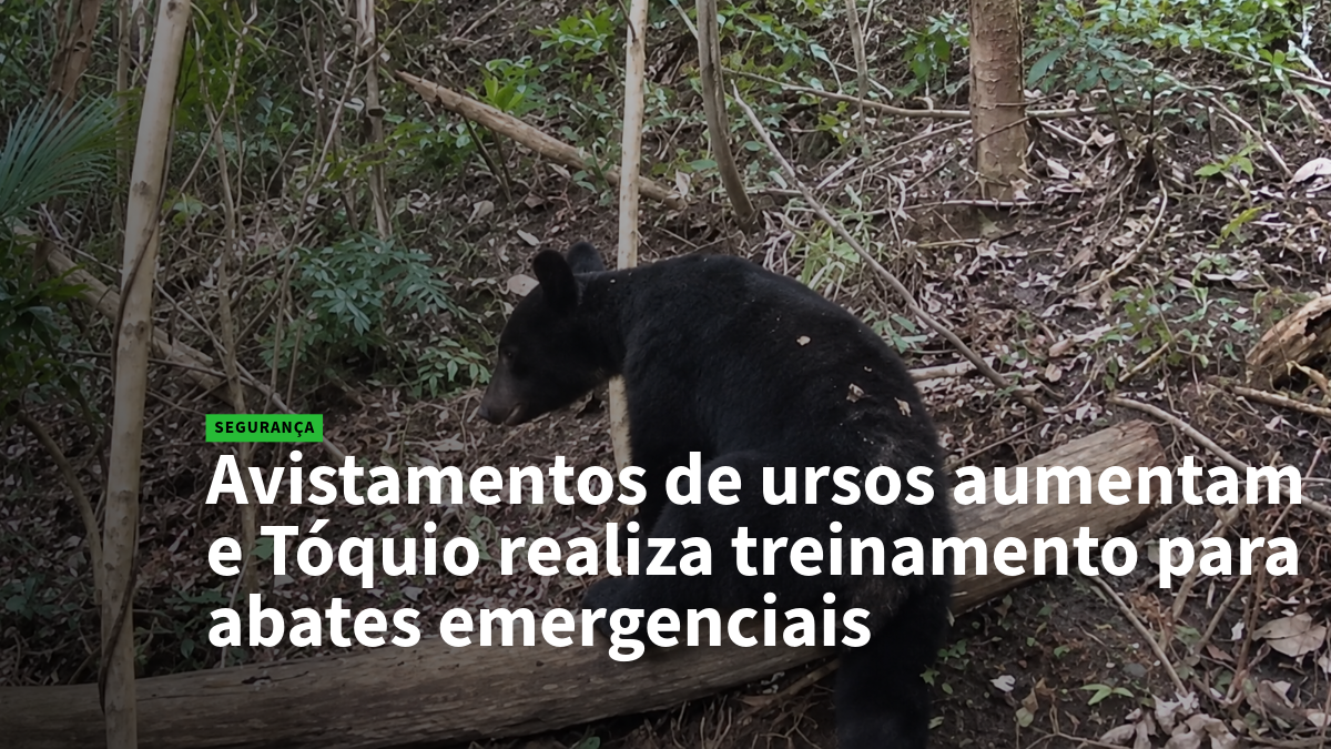 Black bear in a forest with a bold Portuguese news headline about rising bear sightings and Tokyo's emergency cull training.
